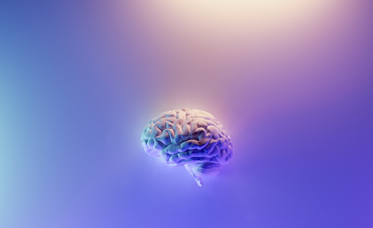 Rappresentazione grafica del cervello umano (fonte: Unsplash) © Ansa