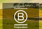 Alimentare: biologica e sostenibile, Fileni diventa 'B Corp' © 