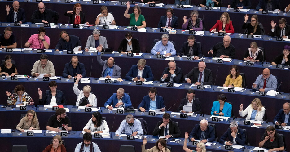 Sessione di voto al Parlamento europeo di Strasburgo (ANSA)