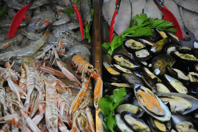 Natale: PescAgri-Cia, salvo menu di pesce ma spesa giù 25% - RIPRODUZIONE RISERVATA