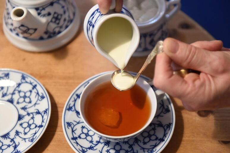 Il tè italiano vince l 'oro al Teas of the World di Parigi - RIPRODUZIONE RISERVATA