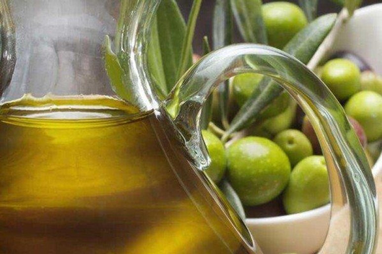 L 'olio d 'oliva ha una  'impronta digitale ', certifica qualità - RIPRODUZIONE RISERVATA