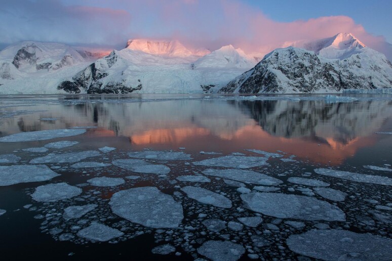 Andvord Bay in Antartide (fonte: Maria Stenzel) - RIPRODUZIONE RISERVATA