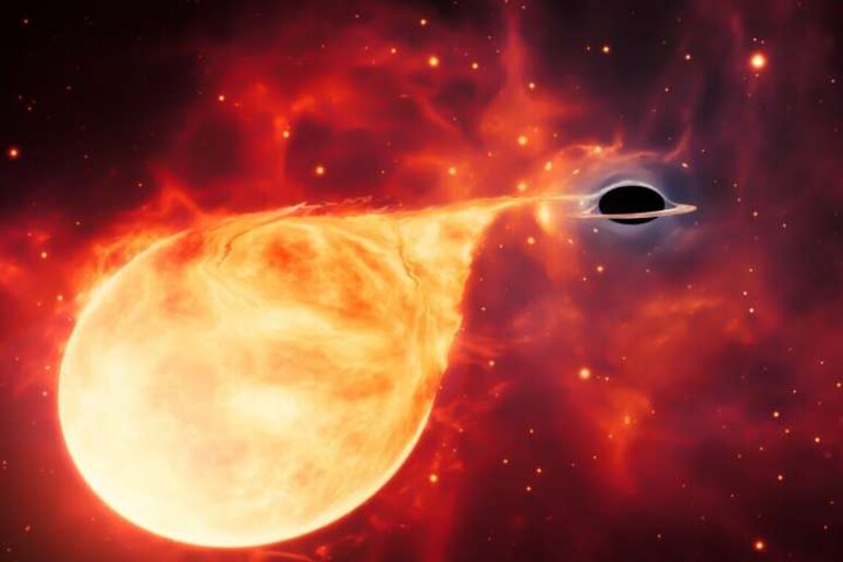 Rappresentazione artistica di un buco nero di taglia M mentre divora una stella (fonte: ESA/Hubble, M. Kornmesser) - RIPRODUZIONE RISERVATA