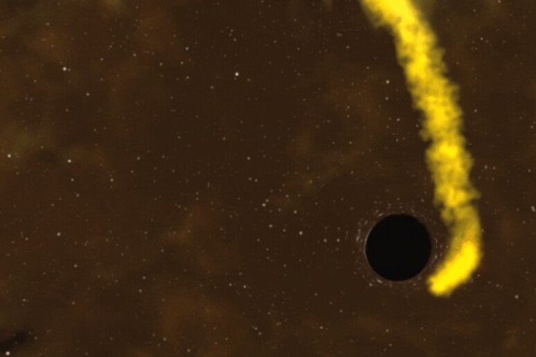 Ricostruzione della stella simile al Sole sopravvissuta all’incontro ravvicinato con il buco nero. (fonte: Chandra X-Ray Observatory) - RIPRODUZIONE RISERVATA