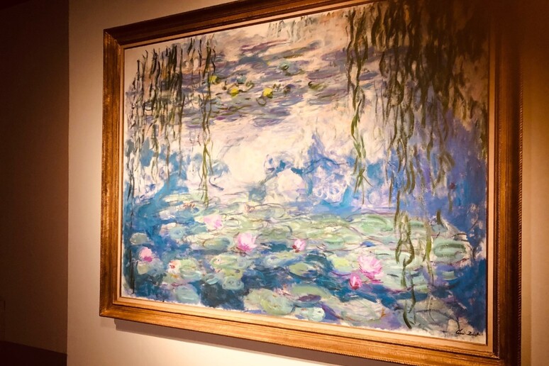 Le Ninfee di Monet esposte a Palazzo Ducale a Genova - Foto di Chiara Carenini - RIPRODUZIONE RISERVATA