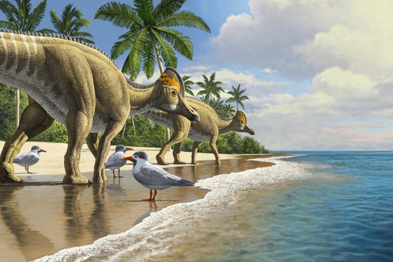 Rappresentazione artistica dei dinosauri erbivori che dal Nord America hanno attrraversato gli oceani (fonte: Raul Martin) - RIPRODUZIONE RISERVATA
