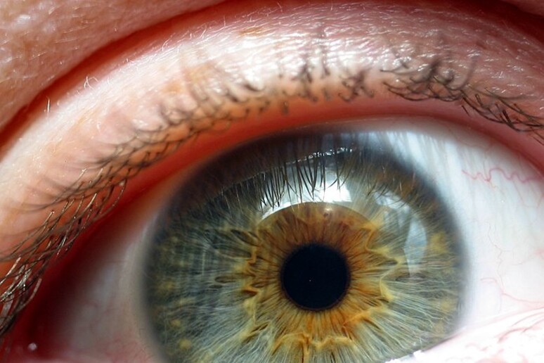 Taglia e incolla Dna promette di correggere malattie retina  (fonte: Flickr) - RIPRODUZIONE RISERVATA