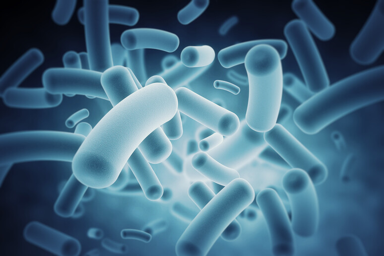 Rappresentazione artistica di batteri che costituiscono il microbioma umano (fonte: IBM) - RIPRODUZIONE RISERVATA