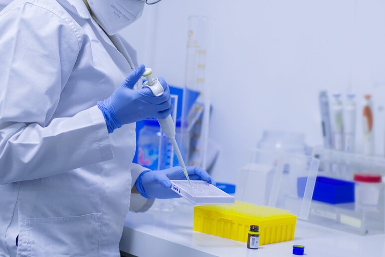 Di due tipi i test di laboratorio in corso sulla variante Omicron (fonte: PIxbay) - RIPRODUZIONE RISERVATA