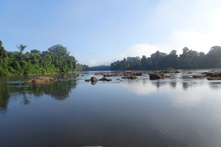 Il fiume Oyapock, tra Brasile e Guyana francese, è tra i pochi del Sud America a preservare una buona biodiversità (fonte: S. Brosse) - RIPRODUZIONE RISERVATA