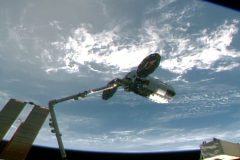 Il cargo Cygnus catturato dal braccio robotico della Stazione Spaziale (fonte: NASA) - RIPRODUZIONE RISERVATA