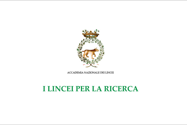 L 'Accademia dei Lincei lancia un appello per il finanziamento della ricerca, su YouTube (fonte: Accademia Nazionale dei Lincei) - RIPRODUZIONE RISERVATA