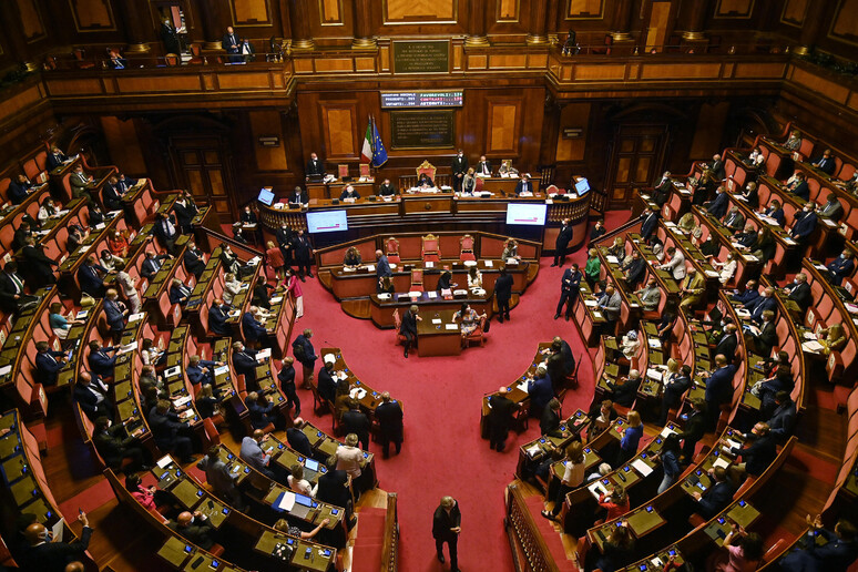 L 	'Aula del Senato in una recente immagine - RIPRODUZIONE RISERVATA