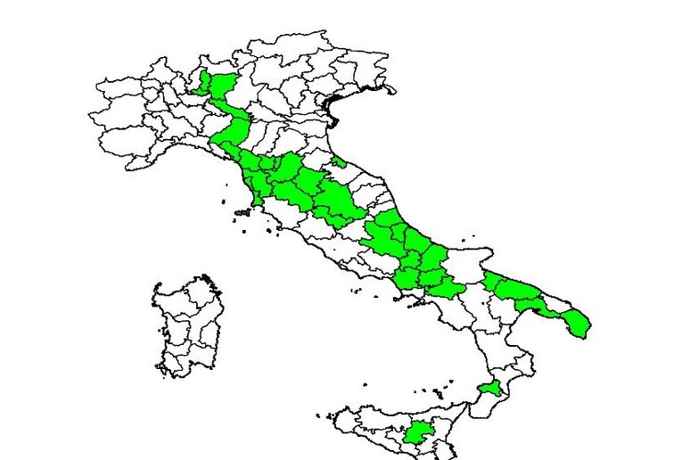 In verde le 33 province nelle quali la variante Omicron si è diffusa di più nelle ultime settimane del 2021 (fonte: Giovanni Sebastiani) - RIPRODUZIONE RISERVATA