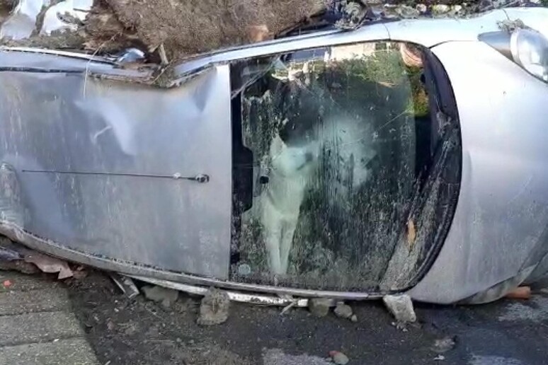 Casamicciola: cane da sabato in auto gravemente danneggiata - RIPRODUZIONE RISERVATA