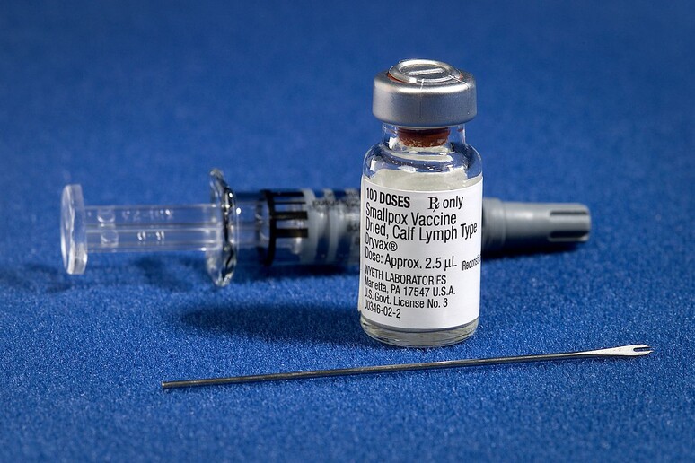 Vaccino contro il vaiolo utilizzato durante le campagne degli anni  '60 e  '70 (fonte: James Gathany, CDC da Wikipedia) - RIPRODUZIONE RISERVATA