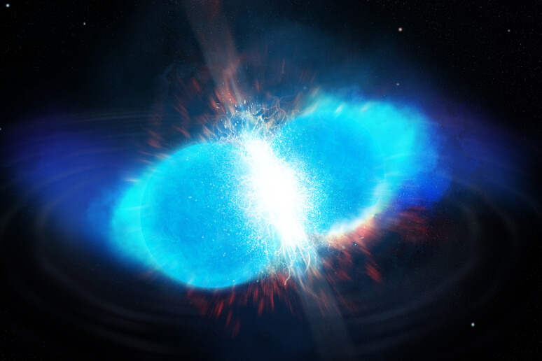 Rappresentazione artistica della fusione di due stelle di neutroni (fonte: Los Alamos National Laboratory/Matthew Mumpower) - RIPRODUZIONE RISERVATA
