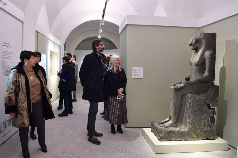 Una delle statue della dea Sekhmet esposte al Museo Egizio di Torino -     RIPRODUZIONE RISERVATA